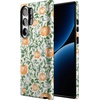 image:imageCasely Galaxy S10 Plus Case  Midnight Web  Spider Web  Essential Slim DualLayer Protective DesignPumpkin Patch  Green Vines