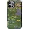 Monet’s Water Lilies | The Met Museum Collection