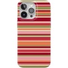 Citrus Stripes | Poolside Print