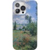 The Met Museum | Monet's View