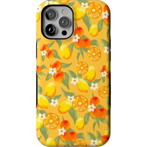 image:imageCasely iPhone 12 Pro Max Case  Monets Bridge  The Met Museum  Bold Protective Design  MagSafe Compatible DesignPositano  Dippin Daisys Italian Coast
