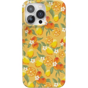 image:imageCasely iPhone 14 Pro Case  Monets Water Lilies  The Met Museum  Compatible with MagSafe  Classic Ultra Slim DesignPositano  Dippin Daisys Italian Coast