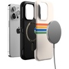 image:imageCasely iPhone 14 Pro Case  Monets Bridge  The Met Museum  Bold Protective Design  Compatible with MagSafeTotally Groovy  Rainbow Stripes Colorblock