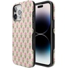 image:imageCasely iPhone 15 Pro Case  Monets Bridge  The Met Museum  Bold Protective Design  Compatible with MagSafeJennas Flowers  Fun on Weekdays