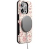 image:imageCasely iPhone 15 Pro Case  Monets Bridge  The Met Museum  Bold Protective Design  Compatible with MagSafeWestern Bloom  Jenna Palek x Casely