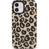 Into the Wild | Leopard