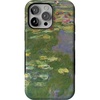 Monet's Water Lilies | The Met Museum