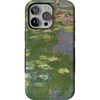 Monet's Water Lilies | The Met Museum