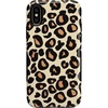 Into the Wild | Leopard
