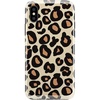 Into the Wild | Leopard