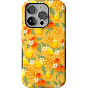 image:imageCasely iPhone 15 Pro Case  Monets Bridge  The Met Museum  Bold Protective Design  Compatible with MagSafePositano  Dippin Daisys Italian Coast