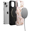 image:imageCasely iPhone 13 Mini Case  Clear Skies  Clear Shimmer  Compatible with MagSafe  Classic Ultra Slim DesignCowgirl Canyon  FashionPass x Casely