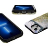 image:imageCasely iPhone 13 Mini Case  Clear Skies  Clear Shimmer  Compatible with MagSafe  Classic Ultra Slim DesignMonets Summer Landscape  The Met Museum