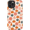 Oh My Gourd | Pumpkin Patch