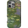 Monet's Water Lilies | The Met Museum