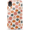 Oh My Gourd | Pumpkin Patch