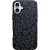 Into the Wild | Black Leopard